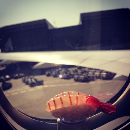 Ebijiro and the airplane window at Narita.
