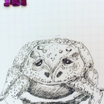 Day 26: Toad (pen)